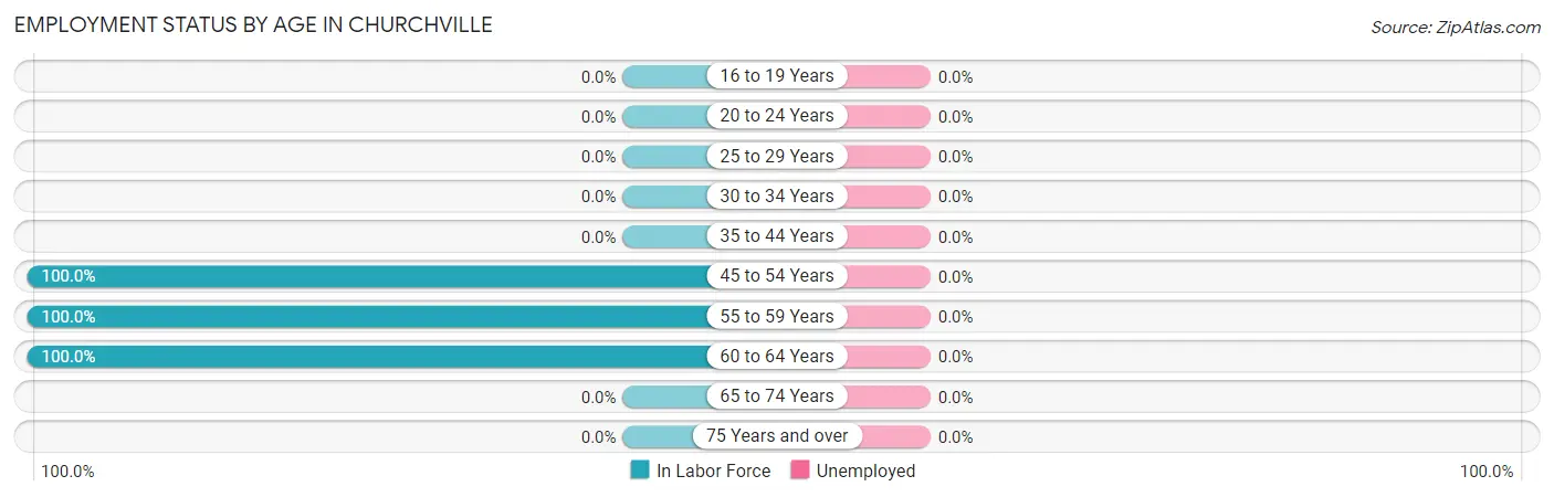 Employment Status by Age in Churchville