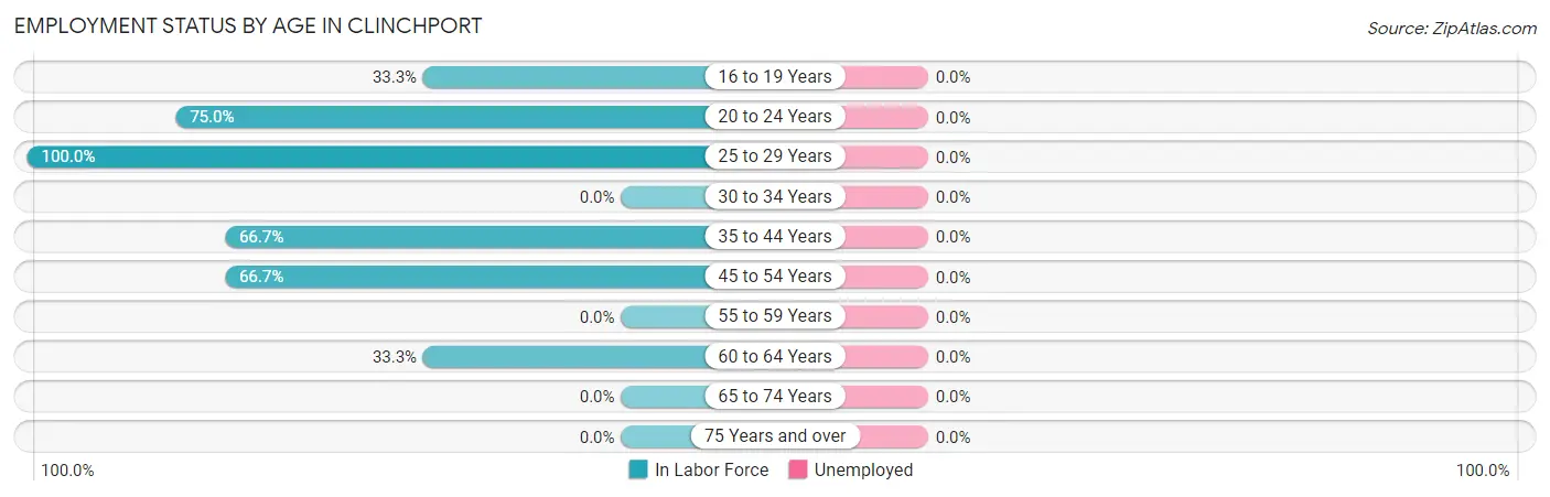 Employment Status by Age in Clinchport