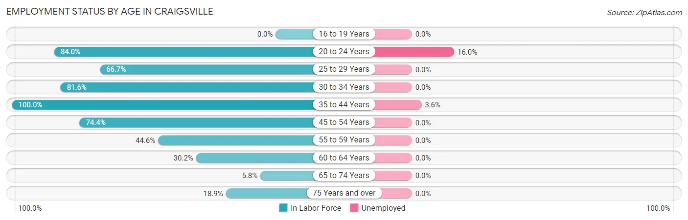 Employment Status by Age in Craigsville
