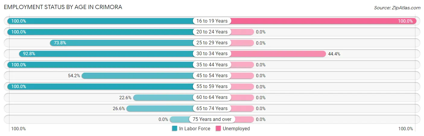 Employment Status by Age in Crimora