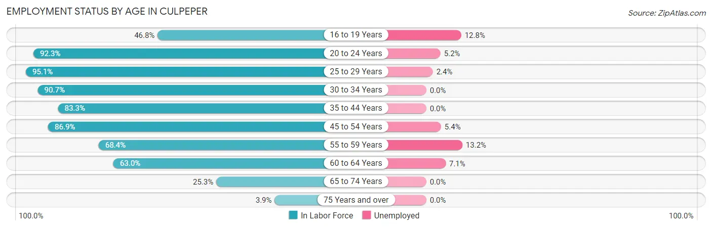 Employment Status by Age in Culpeper