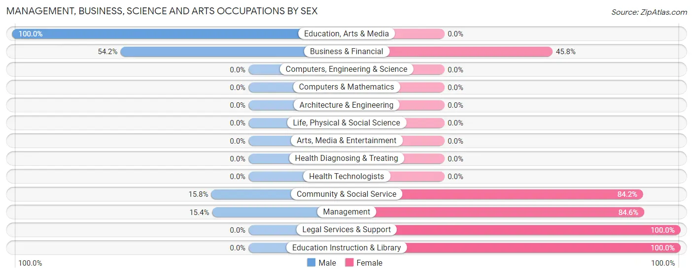 Management, Business, Science and Arts Occupations by Sex in Damascus