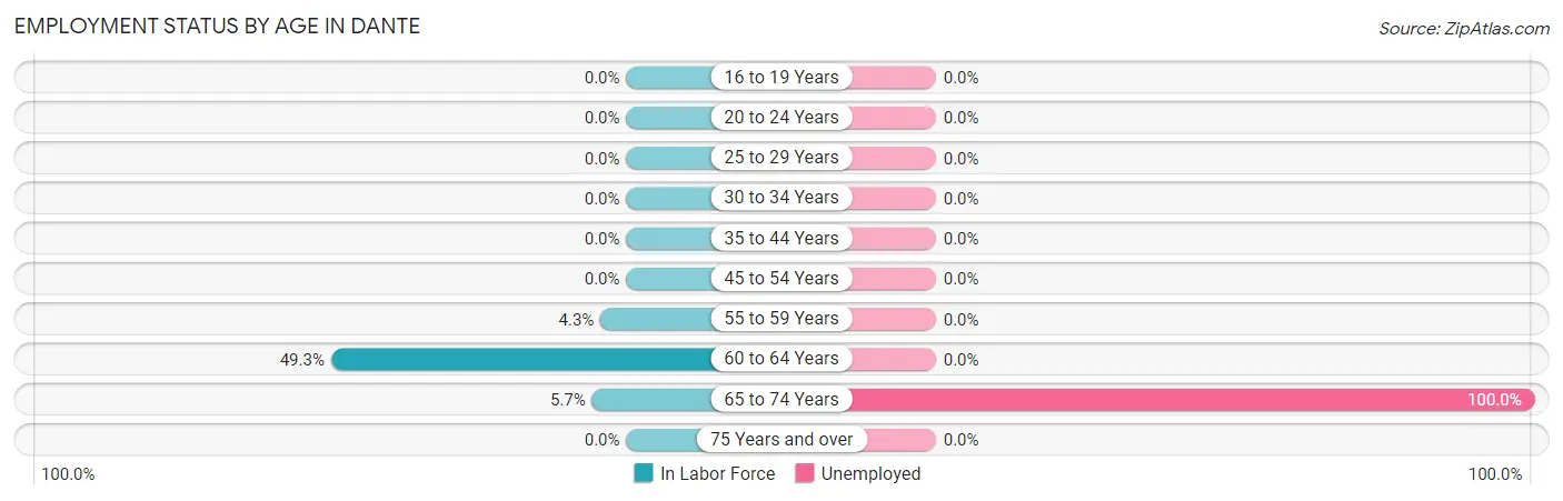 Employment Status by Age in Dante