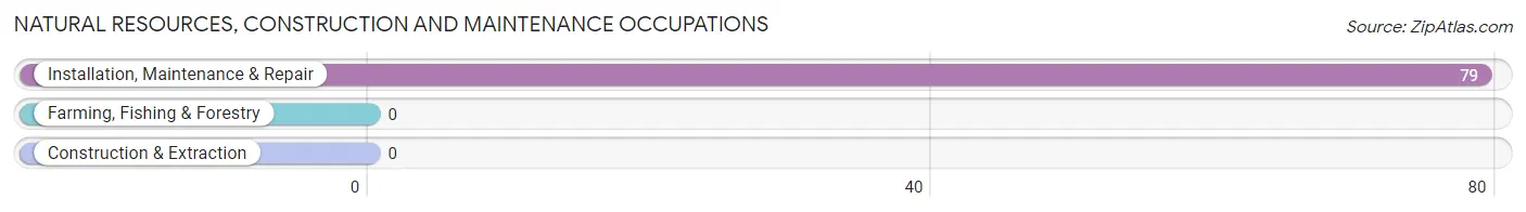 Natural Resources, Construction and Maintenance Occupations in Deerfield