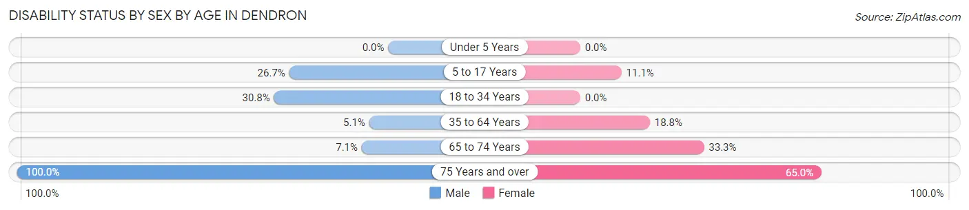 Disability Status by Sex by Age in Dendron