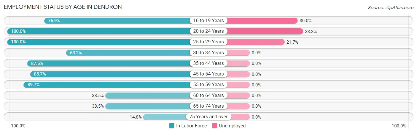 Employment Status by Age in Dendron