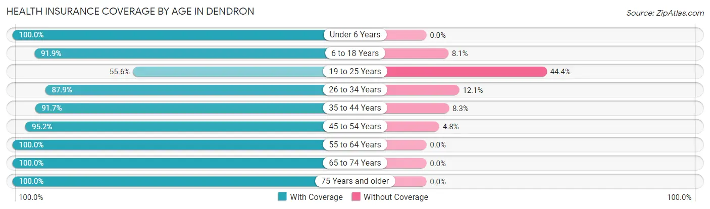 Health Insurance Coverage by Age in Dendron