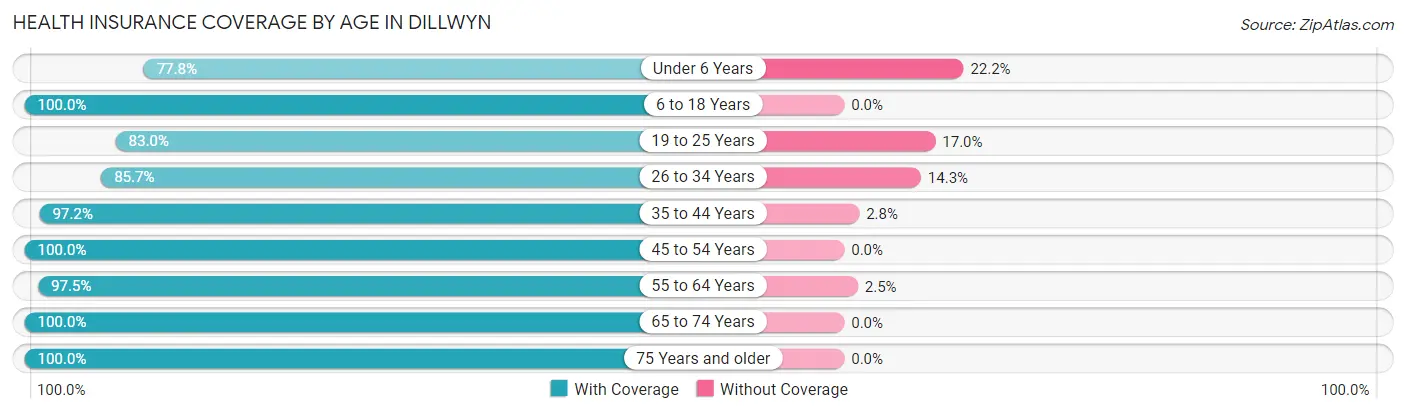 Health Insurance Coverage by Age in Dillwyn