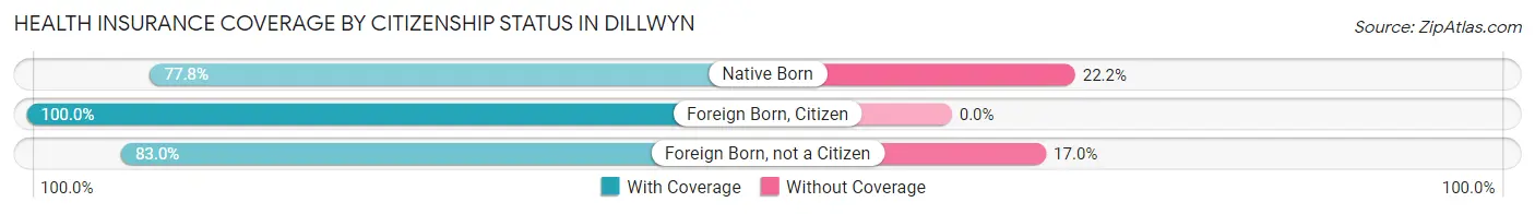 Health Insurance Coverage by Citizenship Status in Dillwyn