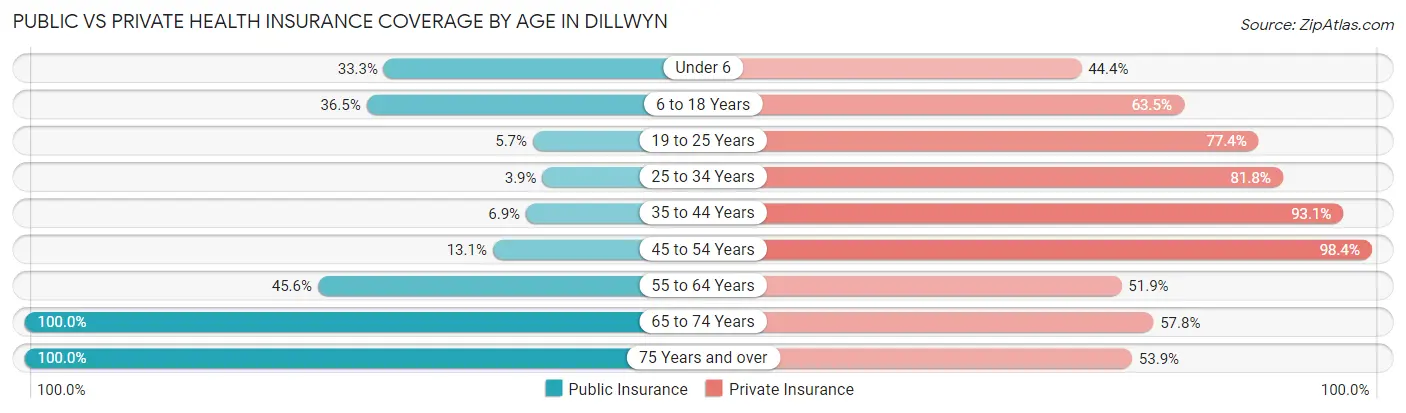 Public vs Private Health Insurance Coverage by Age in Dillwyn