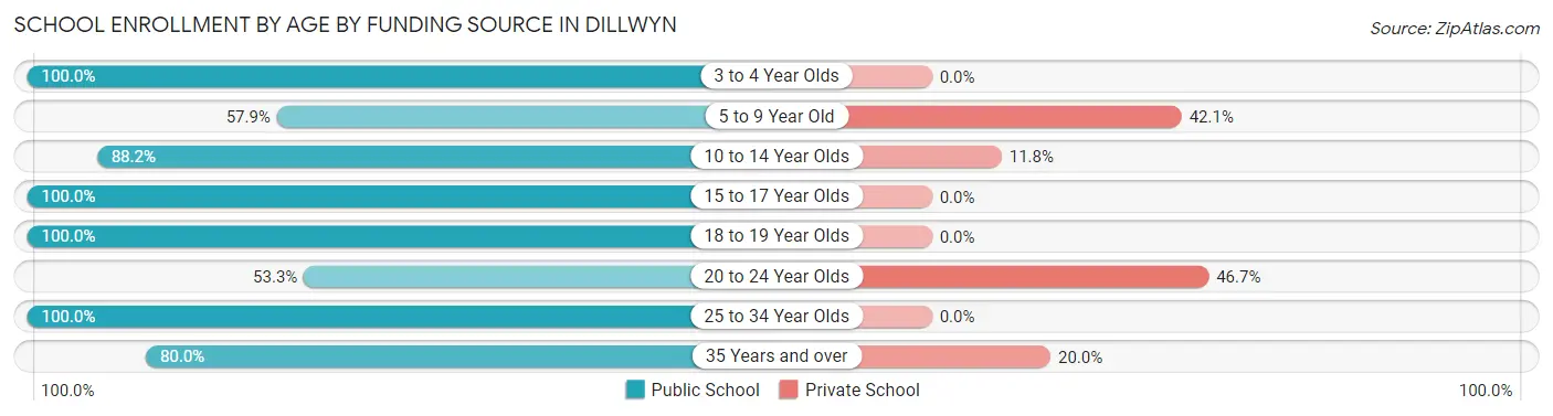 School Enrollment by Age by Funding Source in Dillwyn