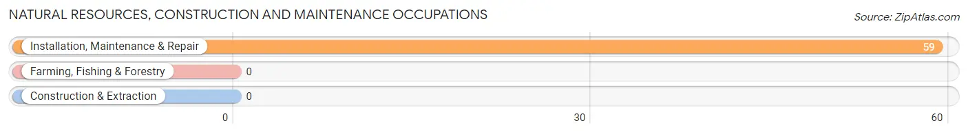 Natural Resources, Construction and Maintenance Occupations in Disputanta