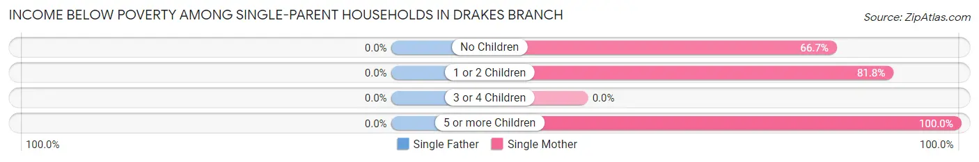 Income Below Poverty Among Single-Parent Households in Drakes Branch