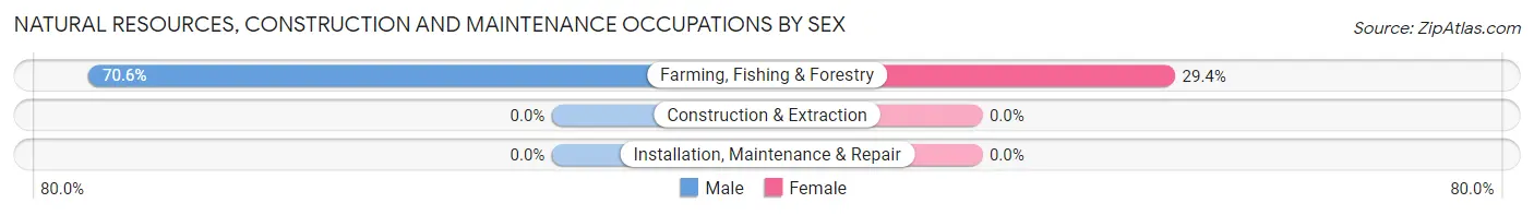 Natural Resources, Construction and Maintenance Occupations by Sex in Eastville