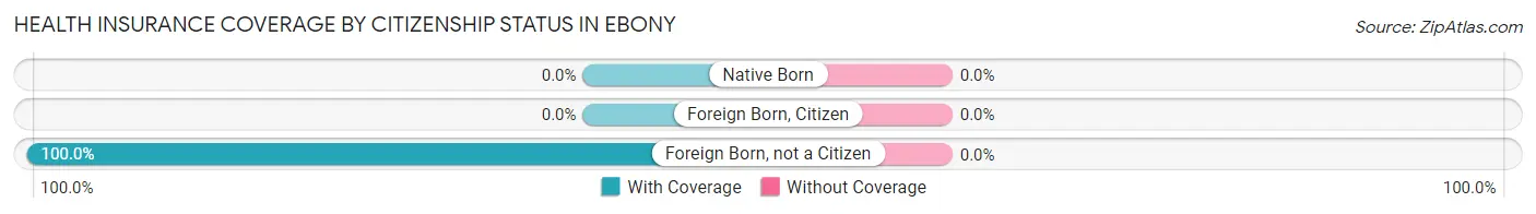 Health Insurance Coverage by Citizenship Status in Ebony