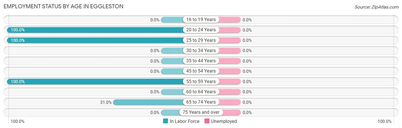 Employment Status by Age in Eggleston