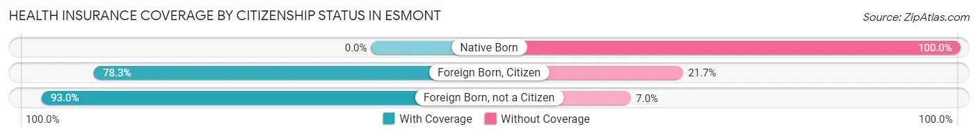 Health Insurance Coverage by Citizenship Status in Esmont
