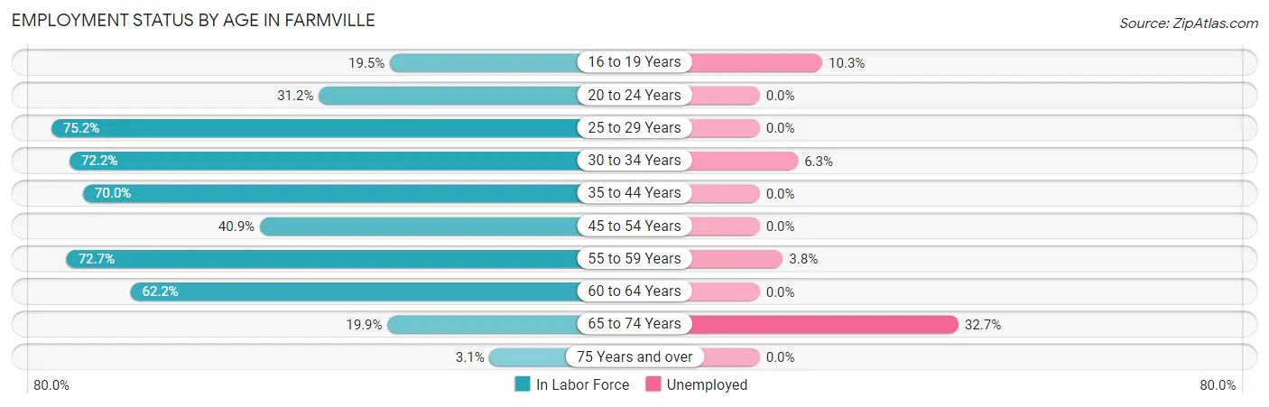 Employment Status by Age in Farmville