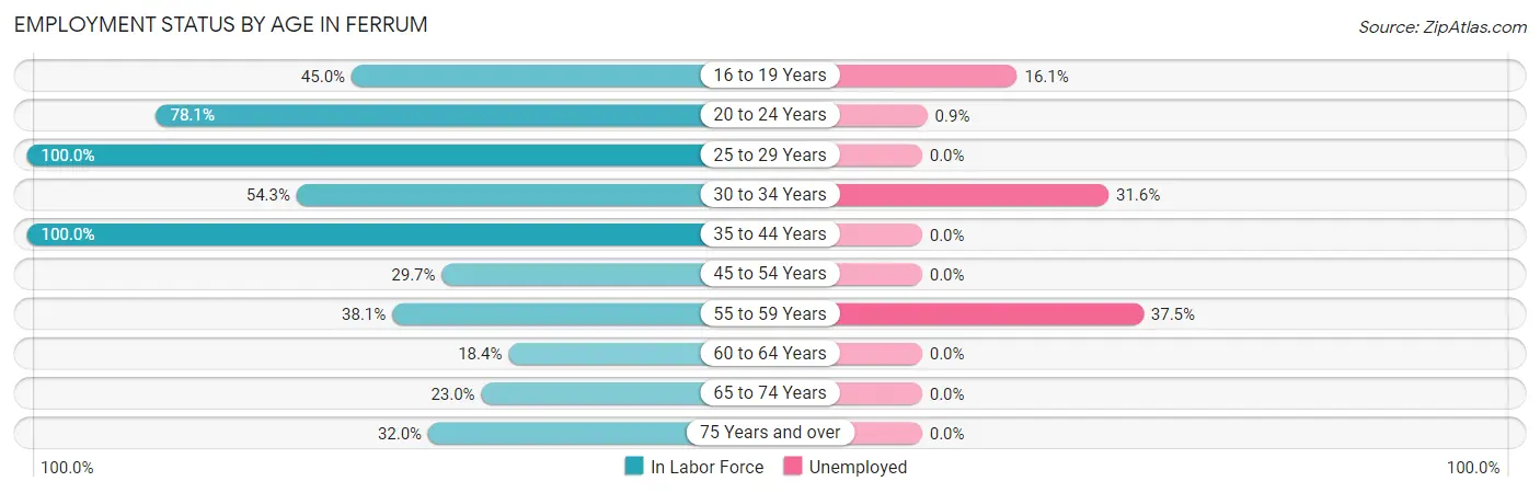 Employment Status by Age in Ferrum