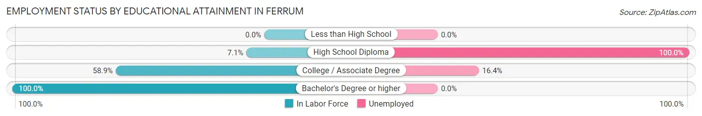 Employment Status by Educational Attainment in Ferrum
