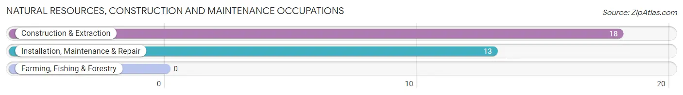 Natural Resources, Construction and Maintenance Occupations in Fincastle