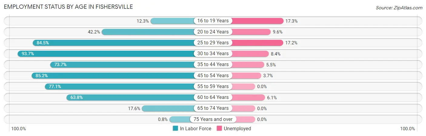 Employment Status by Age in Fishersville