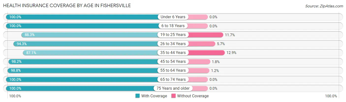 Health Insurance Coverage by Age in Fishersville