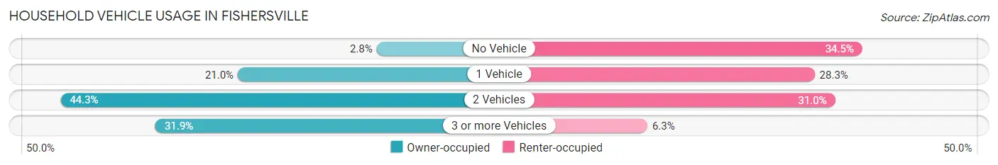Household Vehicle Usage in Fishersville