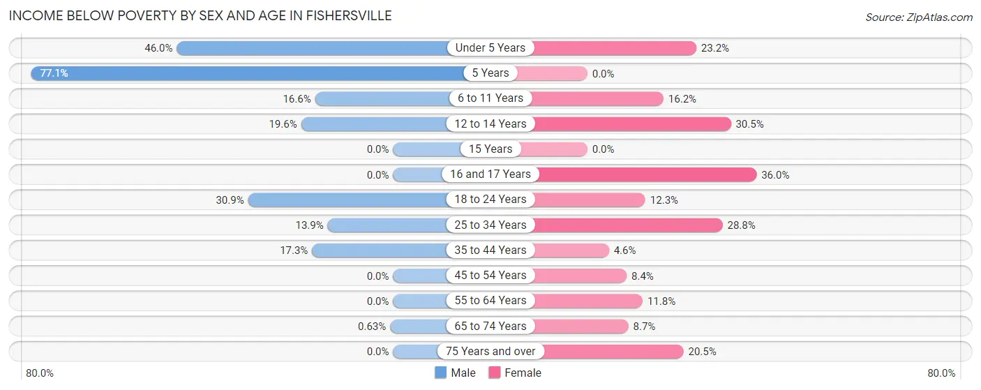 Income Below Poverty by Sex and Age in Fishersville