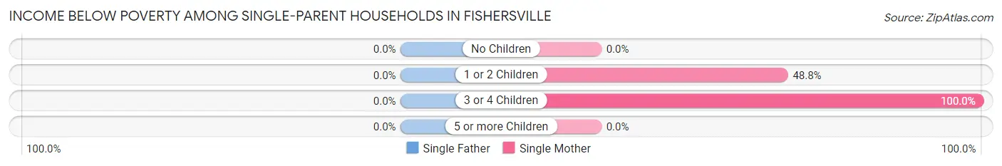 Income Below Poverty Among Single-Parent Households in Fishersville