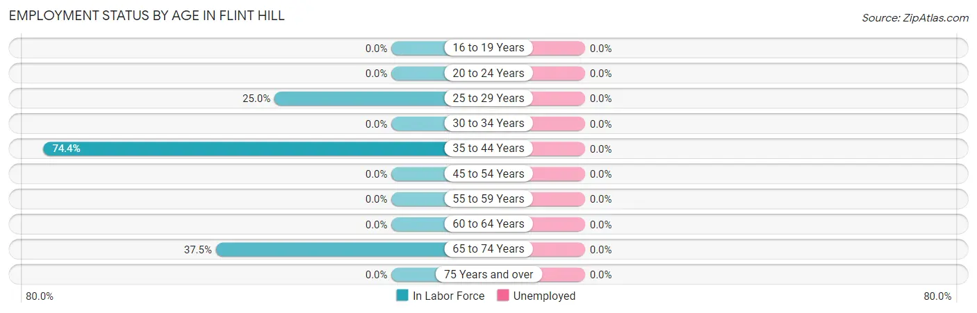 Employment Status by Age in Flint Hill
