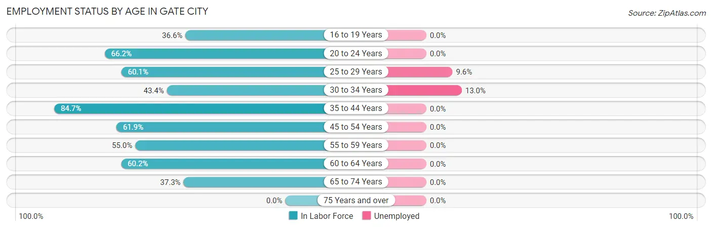 Employment Status by Age in Gate City