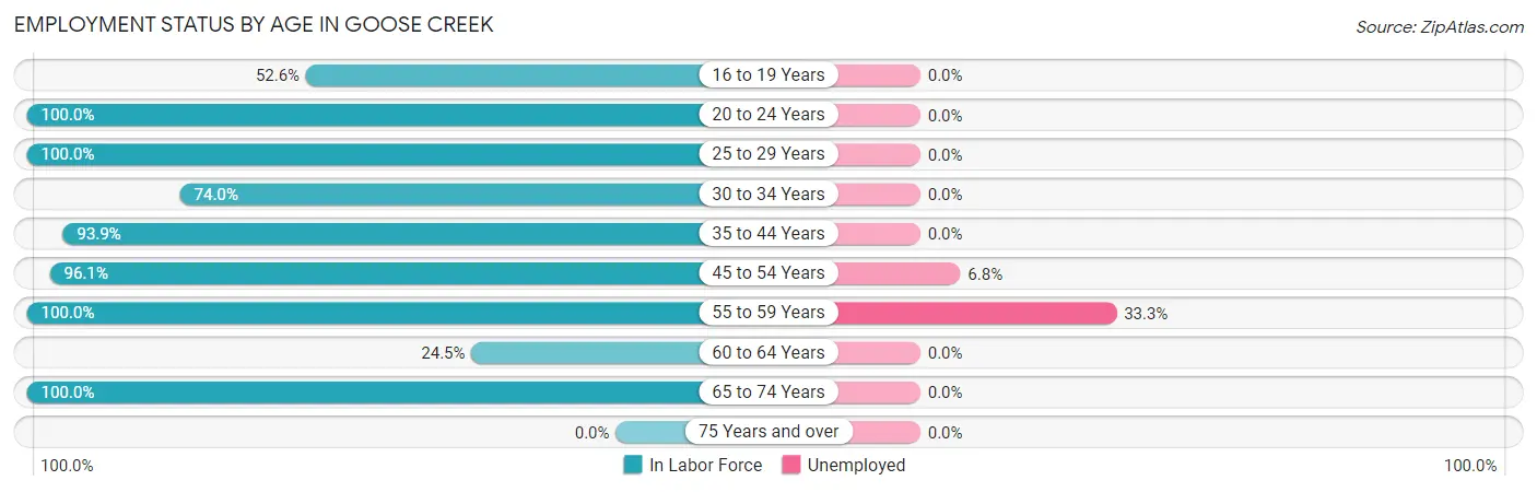 Employment Status by Age in Goose Creek
