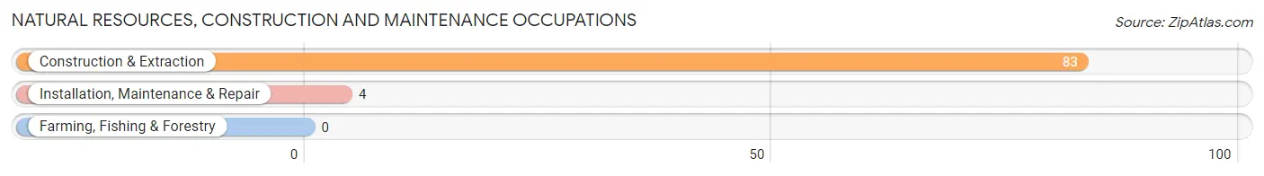 Natural Resources, Construction and Maintenance Occupations in Gordonsville