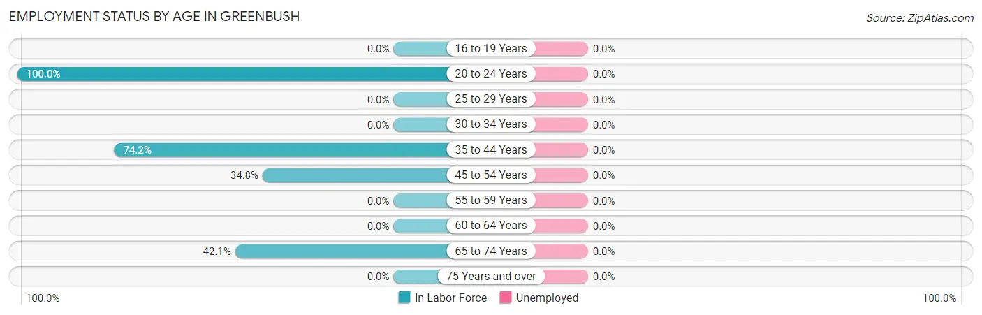 Employment Status by Age in Greenbush