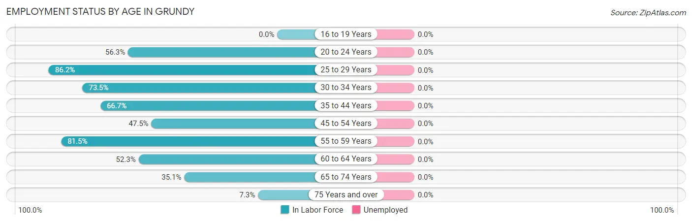 Employment Status by Age in Grundy