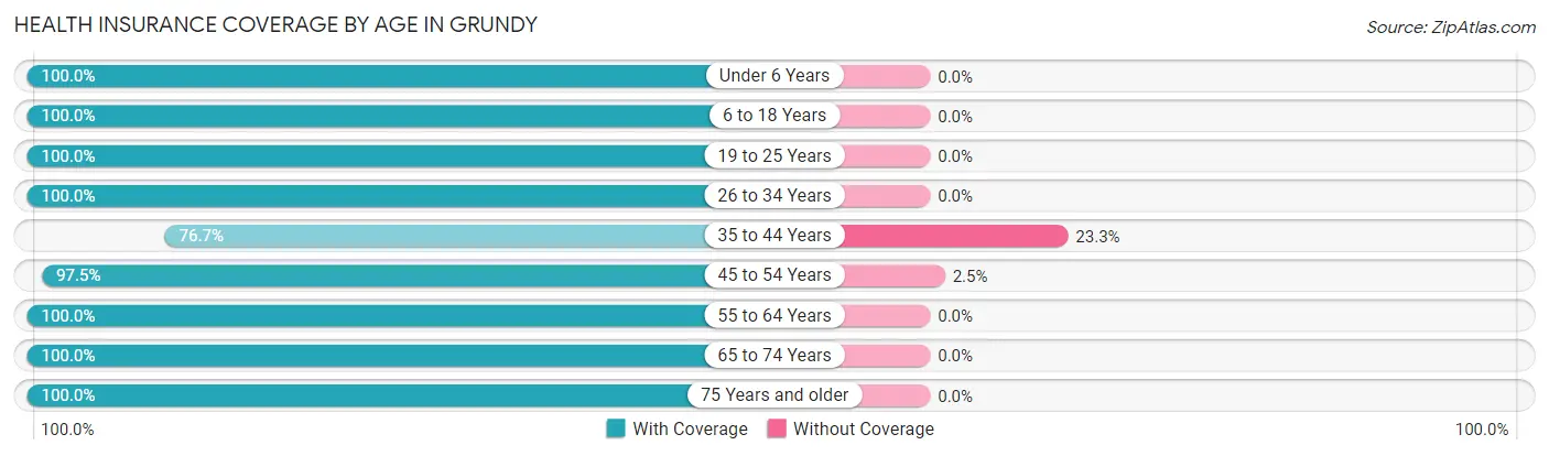 Health Insurance Coverage by Age in Grundy