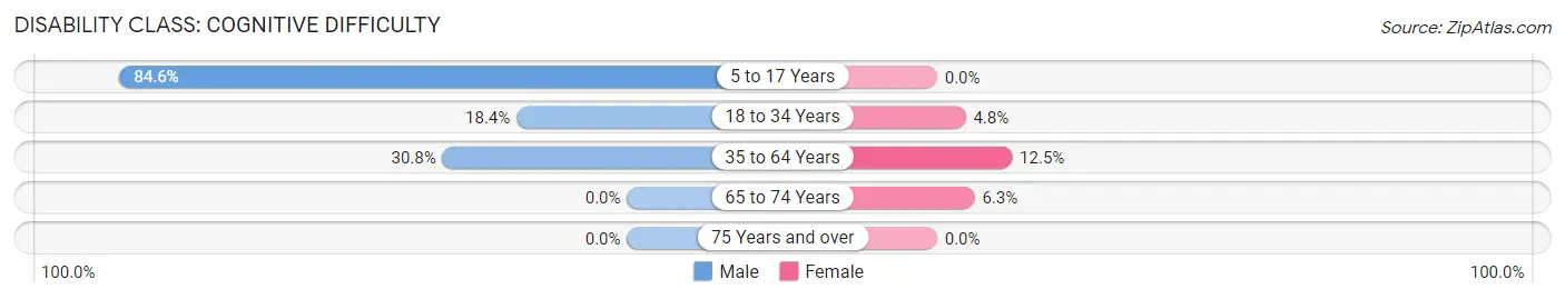 Disability in Haysi: <span>Cognitive Difficulty</span>