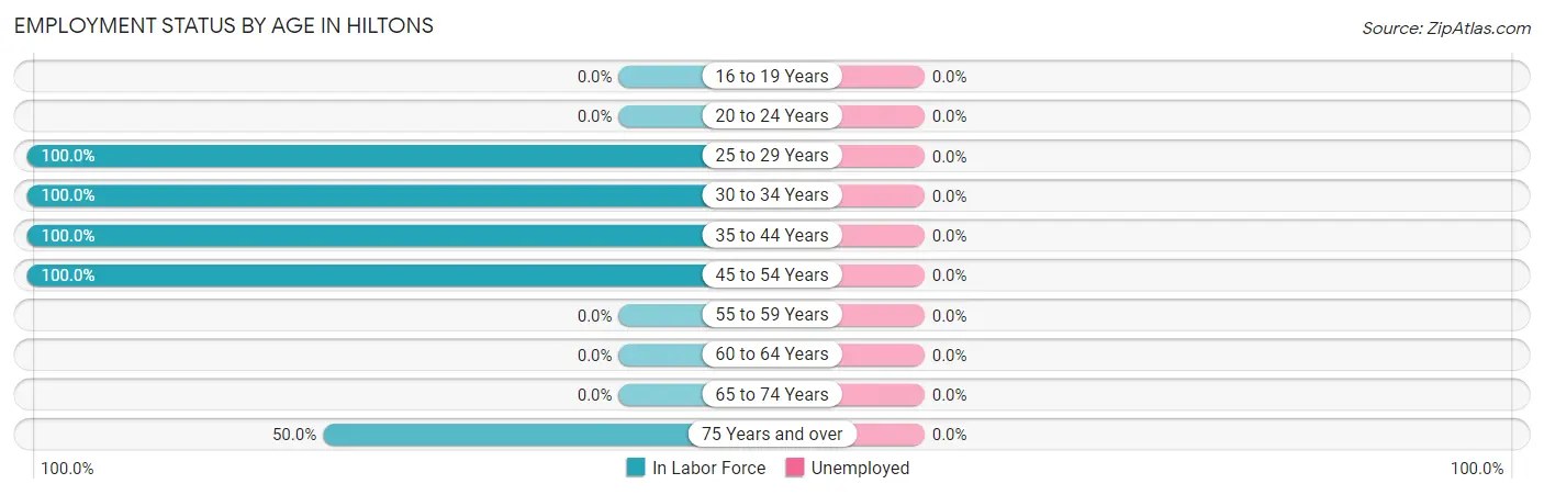 Employment Status by Age in Hiltons