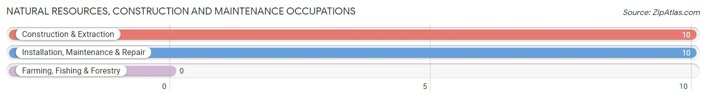 Natural Resources, Construction and Maintenance Occupations in Hiwassee