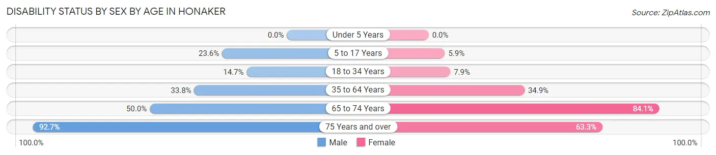 Disability Status by Sex by Age in Honaker