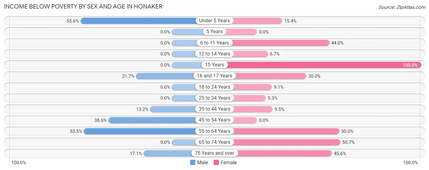 Income Below Poverty by Sex and Age in Honaker