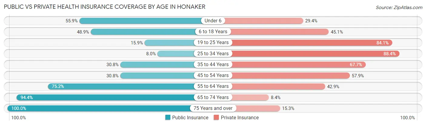 Public vs Private Health Insurance Coverage by Age in Honaker