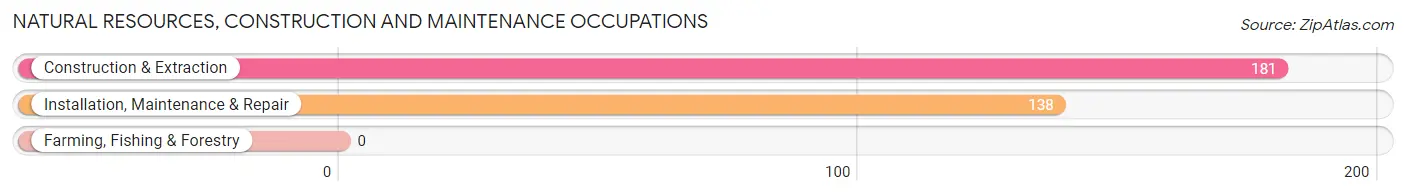 Natural Resources, Construction and Maintenance Occupations in Hutchison