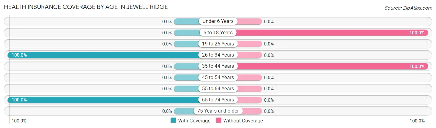 Health Insurance Coverage by Age in Jewell Ridge