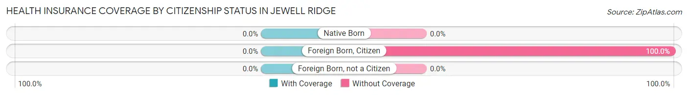 Health Insurance Coverage by Citizenship Status in Jewell Ridge