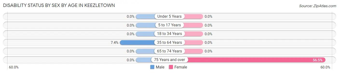 Disability Status by Sex by Age in Keezletown