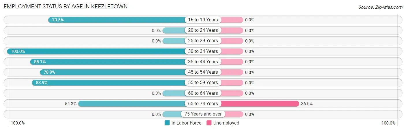 Employment Status by Age in Keezletown
