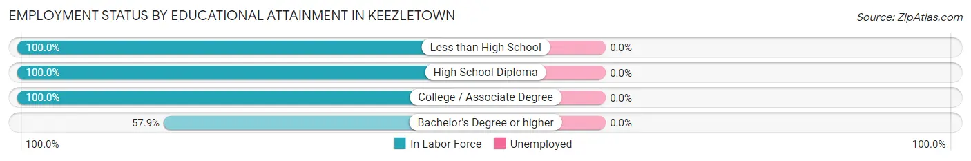 Employment Status by Educational Attainment in Keezletown
