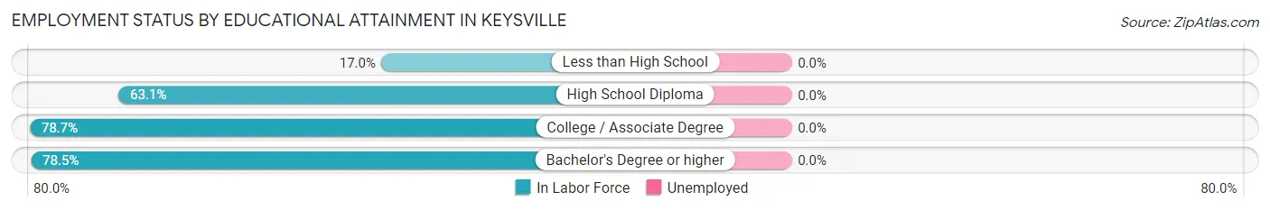 Employment Status by Educational Attainment in Keysville